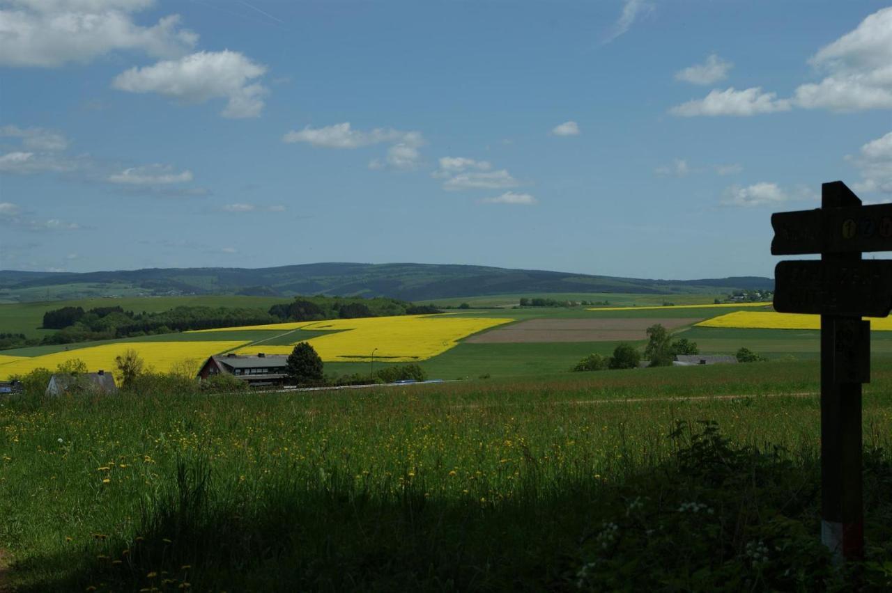 Klein'S Hochwaldscheune Pellingen Exterior photo